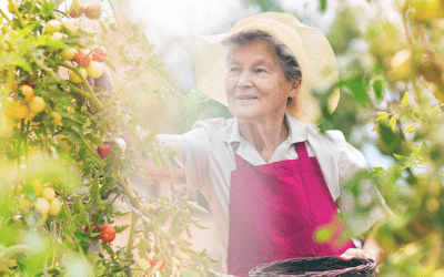 4 Senior Living Wellness Trends Your Dining Team Needs to Know About