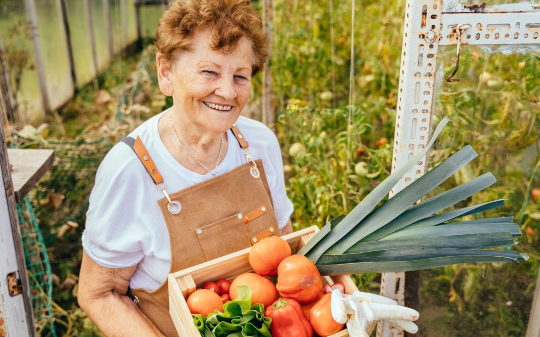 Is Fresh Food Better Than Processed?