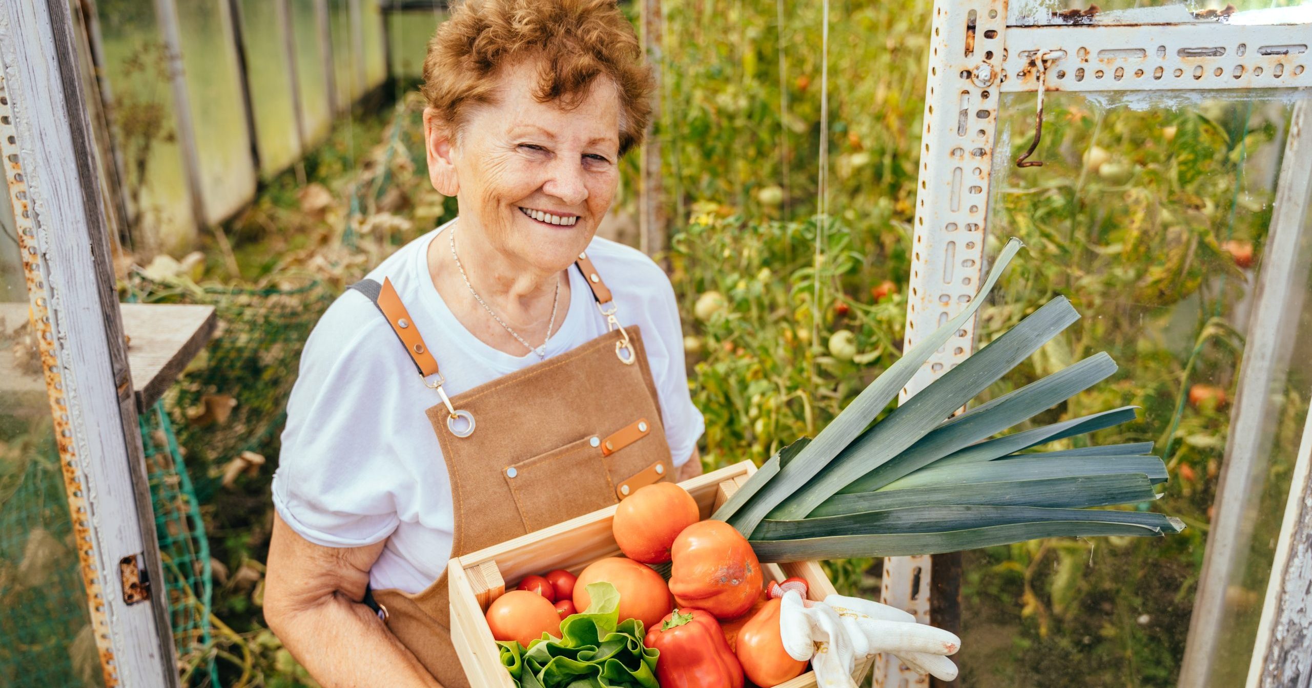 Happy,Senior,Woman,In,Casualwear,And,Apron,Holding,Wooden,Box Happy Senior Woman In Casual wear And Apron Holding Wooden Box