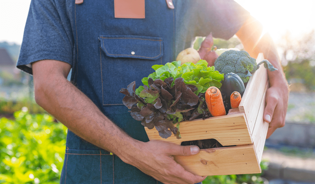 Sustainability in Food Service